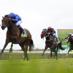 Factors To Consider When Finding Horse Racing Predictions